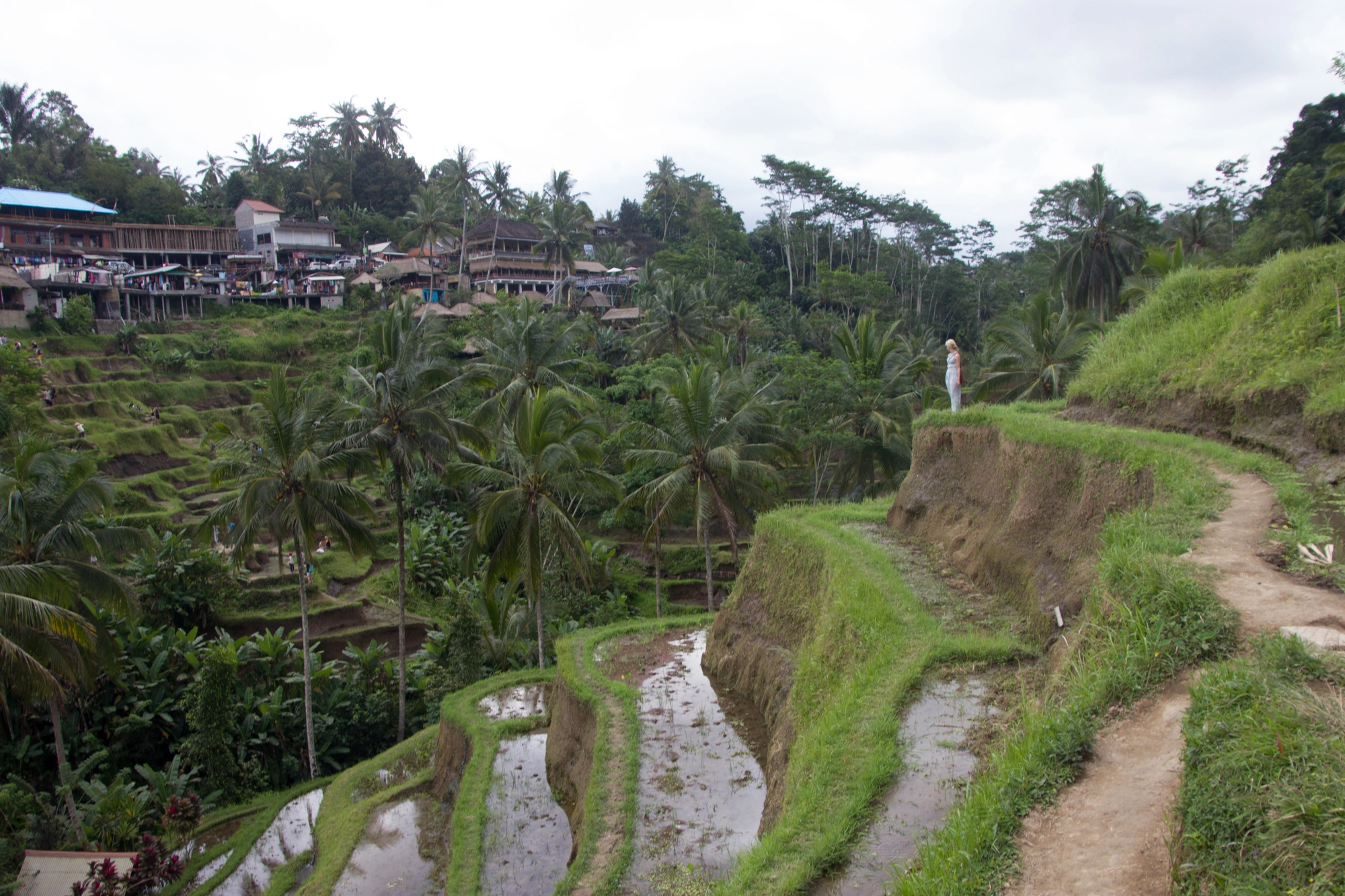 Ubud Culture & Nature Tour